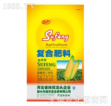 ���\�͏�(f��)�Ϸ���28-6-6-���S