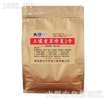 �����ز��ޏ�2̖-��ؐ��