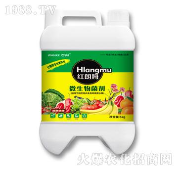 ΢�������-�t��ķ-�f��