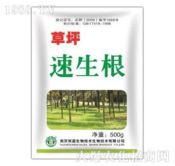 ��ƺ������-�p������