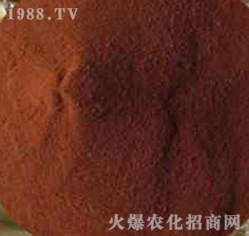 �����S�����-����