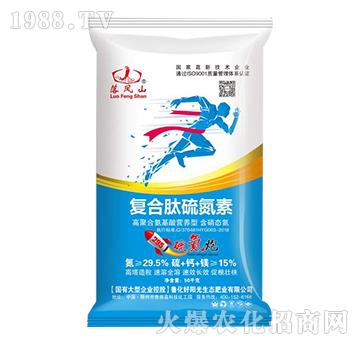 �ͺ�������-���Pɽ-����