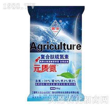 �ͺ�������-����