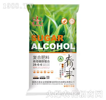 �����Ǵ����Ϗ�(f��)�Ϸ���28-6-6-���Pɽ-����