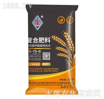 �ͺϷ���19-19-6-����