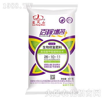 �����ޏ�(f��)����26-10-11-���Pɽ-����