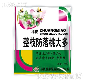 �޻���֦�����Ҵ��-��˼�D�r(n��ng)�I(y��)