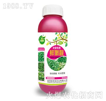 �~�ˌ����r���n-��˼�D�r(n��ng)�I(y��)