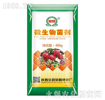 ΢�������-�s��