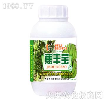 ���S��-��������