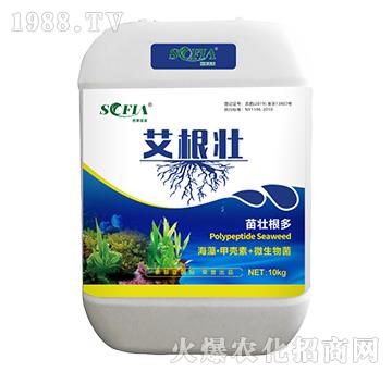 ������-���Ɓ�