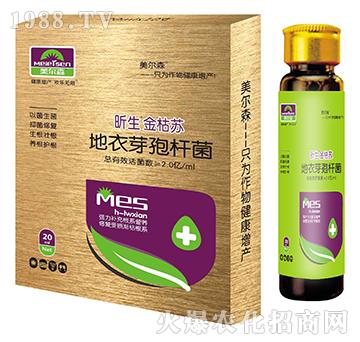 ����ѿ�ߗU��-�������K-����ɭ