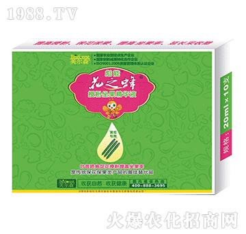 �S�ό����ڷ��������AҺ-��֮��-����ɭ