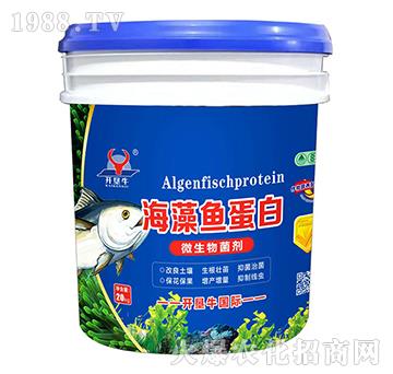 ΢�������-�����~����-�_��ţ