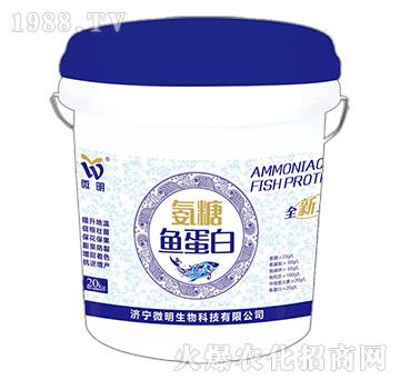 �����~����-΢������