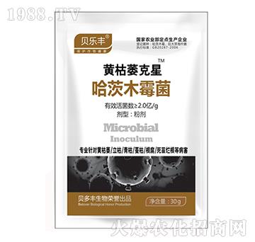 ����ľù��-�S��ή����-ؐ���S