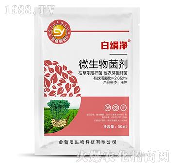 ΢�������-�׽���-���