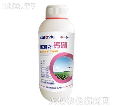 �W�S�ˡ��}��-�A�˱���