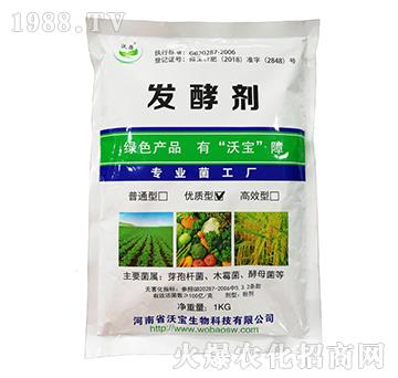 ��(y��u)�|(zh��)�l(f��)�̈́���5����-�֌�����