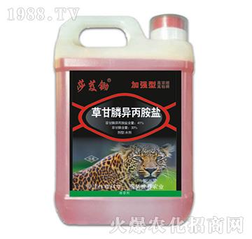 41%�ݸ�좮������}���ӏ�(qi��ng)�ͣ�-ɯܸ�z-�ݵ�˹