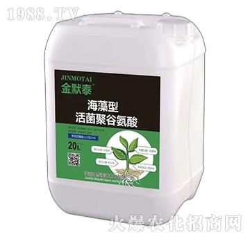 �������۹Ȱ���-��Ĭ̩-��֮�{