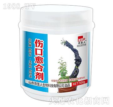 �������τ�-�r(n��ng)ʥ��