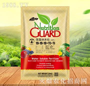 ����{����19-19-19+TE+Ti������-���ԁ��(l��)