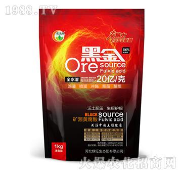 �VԴ�S����-�ڽ�-�G��