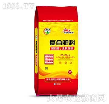 �ͺϷ���20-20-5-�G�S��-�G��