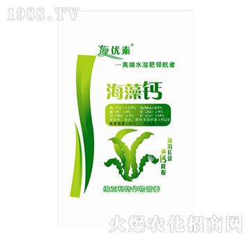 �����}-�S������