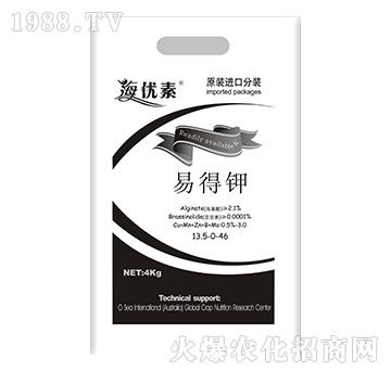 �׵��-�S������