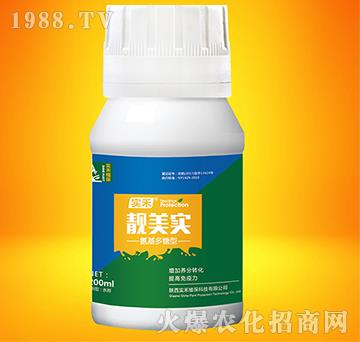 �n����-����