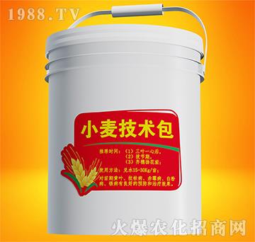 С�����g(sh��)��-����