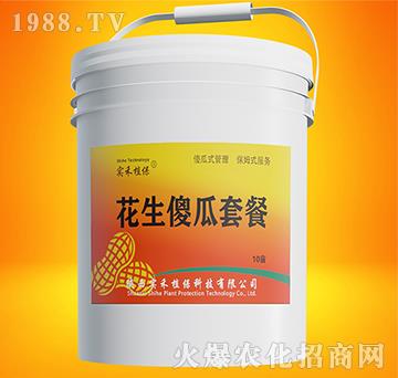 ����ɵ���ײ�-����