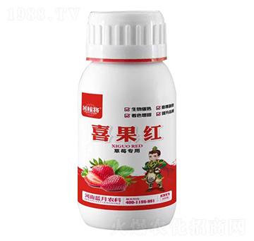 草莓專用喜果紅-田稼將-藍(lán)月農(nóng)科