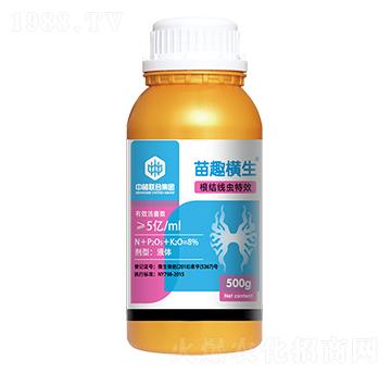 ���Y(ji��)���x����-��Ȥ�M��-��ֲ(li��n)��