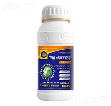 �����ޓp����ֲ�G�{��Ҽ̖(h��o)-��ֲ(li��n)��