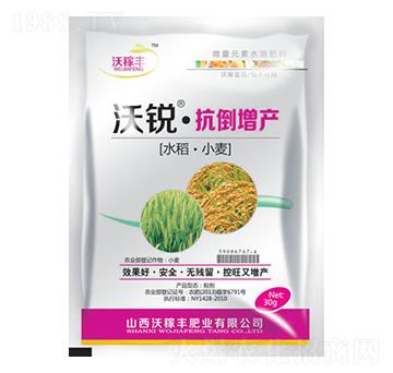 ���J���������a-�ּ��S�ʘI(y��)