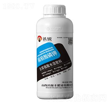 ��ֲ�����-���J-�ּ��S�ʘI(y��)