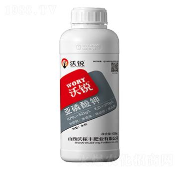 �������-���J-�ּ��S�ʘI(y��)