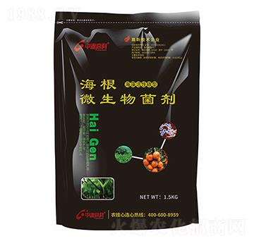 �������̼��΢�������-����-���ظ߿�