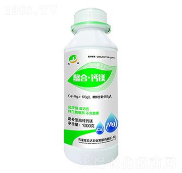 1000g���ϡ��}�V-���_