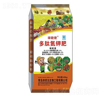 ���ĵ�⛷�-�S����-���Ԫ����