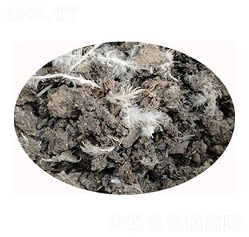 ʯ���f�u�S�ЙC(j��)��-���S����