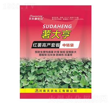 �t���߮a�ײ�-�����-���r����(y��u)ؐ-���r����