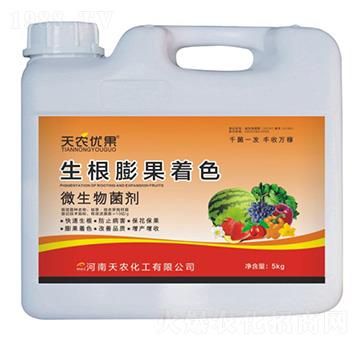 生根膨果著色-天農(nóng)優(yōu)果-天農(nóng)化工