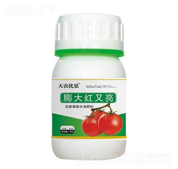 西紅柿膨大紅又亮-天農(nóng)優(yōu)果-天農(nóng)化工