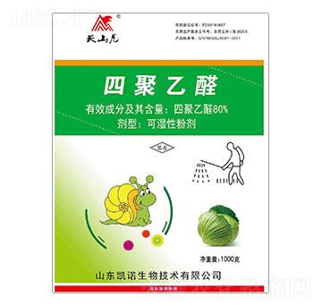 80%�ľ���ȩ-��ɽ��-�P�Z����