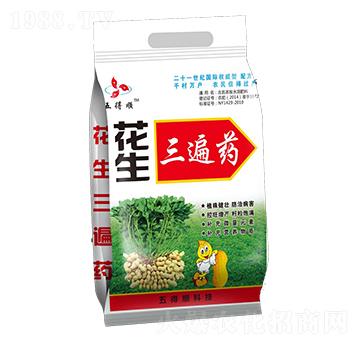 ��������ˎ-����-����