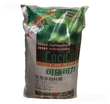 �ݲ�ѿ�ߗU��-��ʩ����-�r֮��